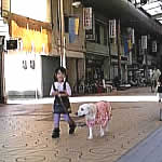 �����������ƈꏏ�ɏ��X�X�����U��