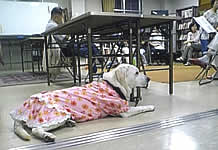 �����c�̗��K�̊Ԃ��_�E�����đ҂��Ă��Ă���܂�