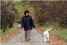 �g�t�����ꂢ�Ȑ����̗т��������U��