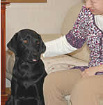 �͂݂̑��ɂ��ƂȂ����V�b�c����Z�������