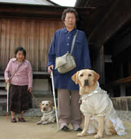 案内のテープを聞く間は、シッツして待ちます