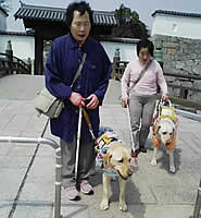 �ԕ��ՂɂāA�t�N�����ƃr�������