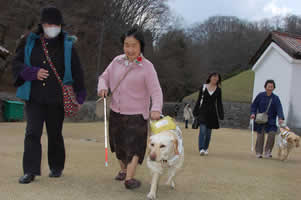 シッカリとリードするビワちゃん