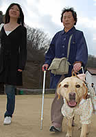 楽しそうにリードするフクちゃん