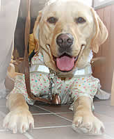 ���ꂵ�����ɏ΂��Ă�t�N�����