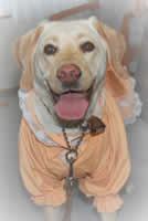 うれしそうに笑っているビワちゃん