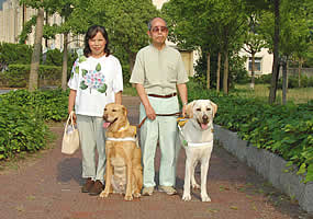 �����A��������g�D���[���� ,��������z�[�~�[����