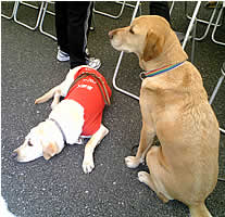 �j�[�X&�g�D���[����