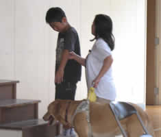 �q������̃K�C�h�ŊK�i���オ�鐴������ƃg�D���[