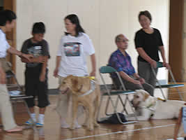 �g�D���[������œ����Ă��Ă��A���ƂȂ����҂��Ă���z�[�~�[