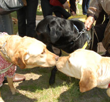 �t�H�[�}����񃔃B�o����t�N�����̃X���[�V���b�g